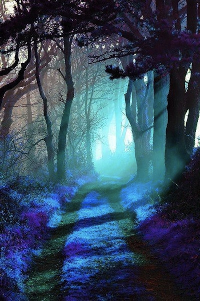 Mystical misty blue forest to illustrate Material Girl (and boy), Mystical World. Read more at Thenuminous.net!